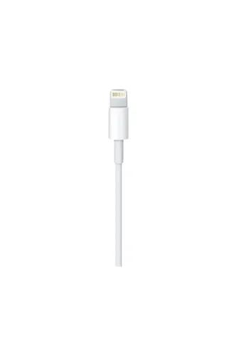 Apple Lightning to USB Cable (0.5m)