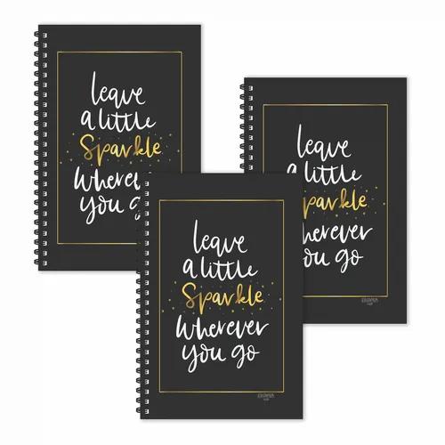 Sparkle Ruled Diaries - Pack Of 3