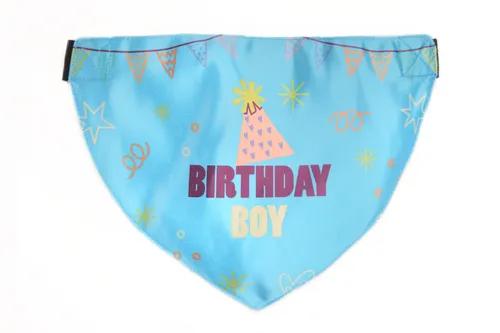 Birthday Boy Dog Bandana