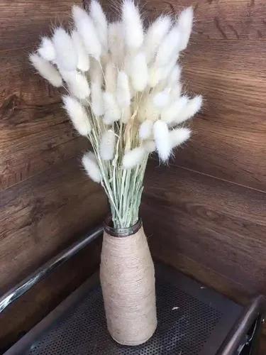 Dried Flower For Gifting or Vase Filler - White