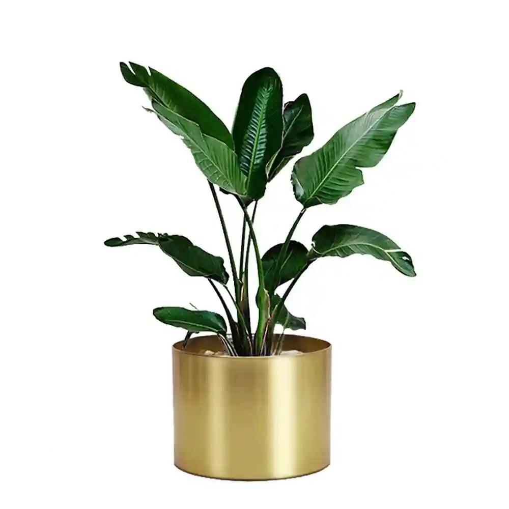 AMASS HANDICRAFTS Planters for Indoor - Outdoor Plants & Modern Metal Floor Plant Pot for Garden, Balcony & Living Room & Mid Century Flower Pots (Gold)