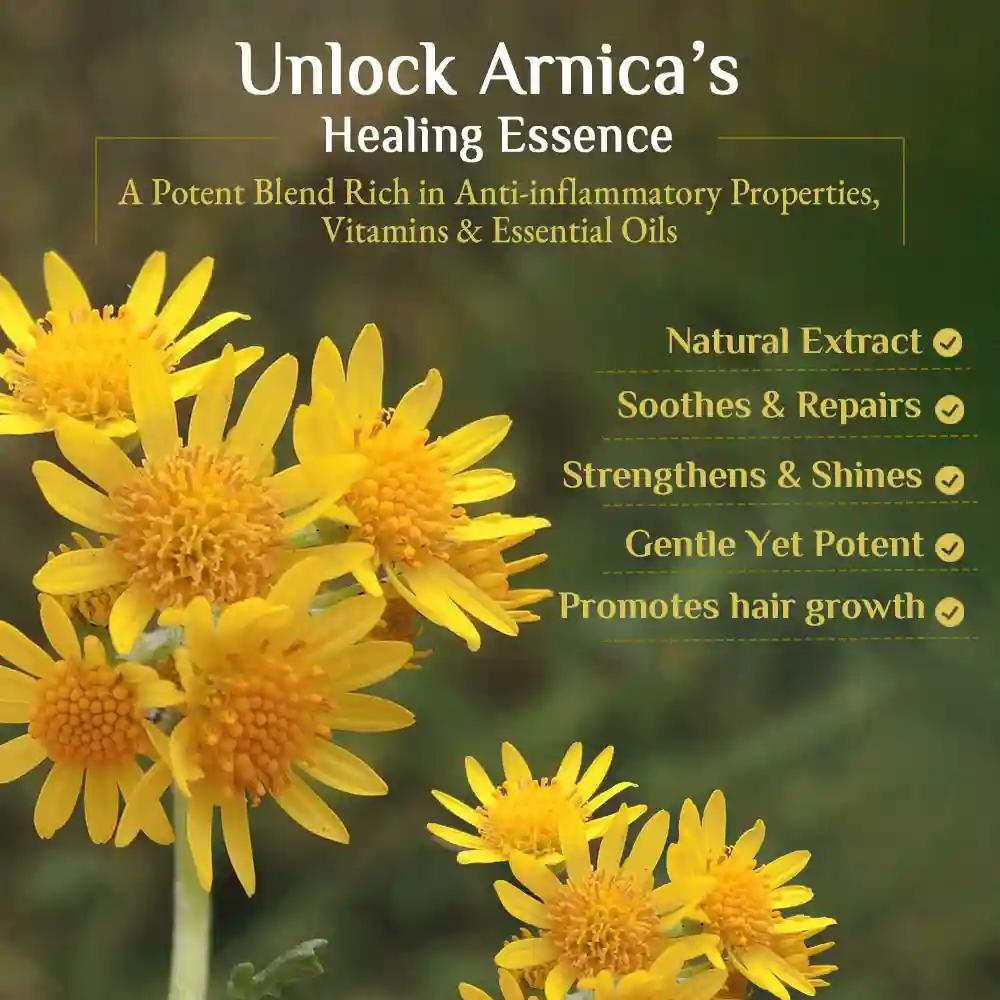 Richfeel Shampoo With Arnica 100 Ml Pack of 2