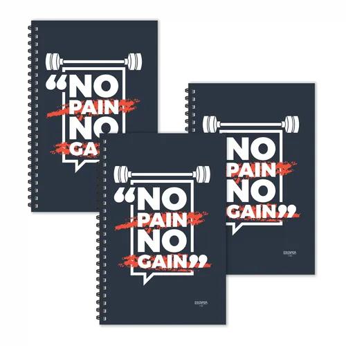 No Pain No Gain Motivational Diaries - Pack Of 3