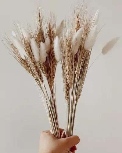 Dried flower For Gifting or Vase Filler - White & Brown